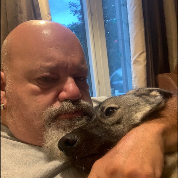 Meet your Posher, Barry - Picture 1 of 1